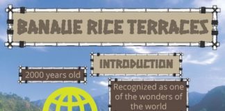 Travel infographic – Banaue Rice Terraces Infographic