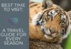 Travel infographic – Best Time to Visit: A Travel Guide for Every Season Infographic