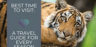 Travel infographic – Best Time to Visit: A Travel Guide for Every Season Infographic