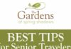 Travel infographic – Best Tips For Senior Travelers #infographic