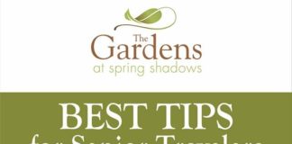 Travel infographic – Best Tips For Senior Travelers #infographic