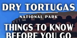 Travel infographic – Dry Tortugas National Park Itinerary
