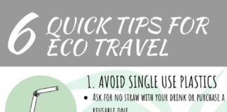 Travel infographic – Eco Travel Guides