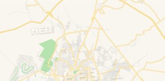 Travel infographic – Empty vector map of Irapuato, Guanajuato, Mexico