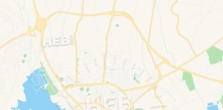 Travel infographic – Faro, Portugal Vector Map – Classic Colors