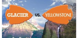 Travel infographic – Glacier National Park versus Yellowstone National Park. Which should you visit? …