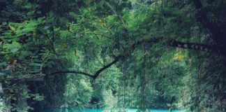 Travel infographic – Idée deco maison, de l’immobilier en architecture, en fiche infographie, des co…