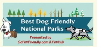 Travel infographic – Infographic: Most Dog Friendly National Parks