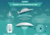 Travel infographic – Infographic: Trends in Transportation – Startupbootcamp