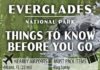 Travel infographic – Just Go to Everglades National Park – What to See and Do