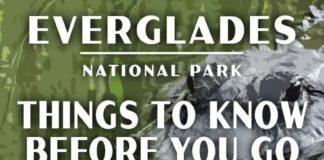 Travel infographic – Just Go to Everglades National Park – What to See and Do