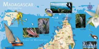 Travel infographic – Madagascar Tourisme •▷ Voyages – Cartes