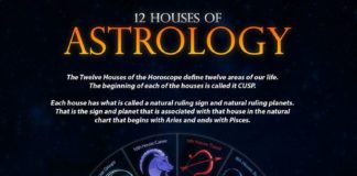 Travel infographic – Numerology Spirituality – 12 Houses of Astrology | #astrology Get your personali…