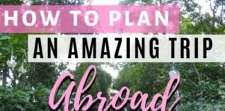 Travel infographic – Planning your trip just got easier | Use this guide to plan the trip of your dre…