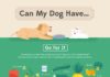 Travel infographic – Pour les chiens aliments bons pour eux. #aliments #food #chien #dog