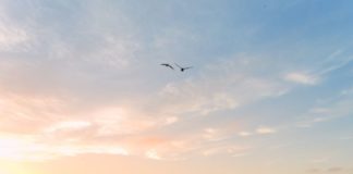 Travel infographic – Protestation !