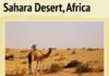 Travel infographic – Sahara Desert Infographic