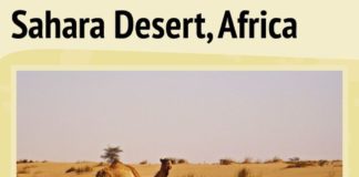 Travel infographic – Sahara Desert Infographic