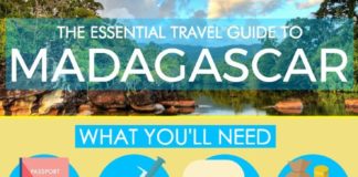 Travel infographic – The Essential Travel Guide to Madagascar (Infographic)