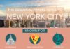Travel infographic – The Essential Travel Guide to New York City (Infographic)