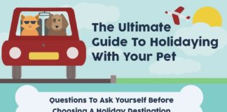 Travel infographic – The Ultimate Guide To Holidaying With Your Pet #infographic