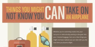 Travel infographic – Things You Might Not Know You Can Take on an Airplane