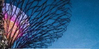 Travel infographic – Things to know when traveling to Singapore