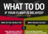 Travel infographic – Tips for Delayed Flights