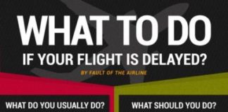 Travel infographic – Tips for Delayed Flights