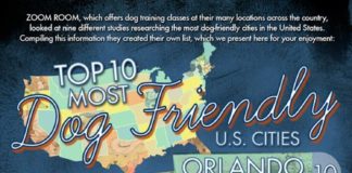 Travel infographic – Top 10 Most Dog Friendly U.S. Cities