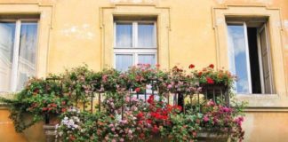 Travel infographic – Trastevere is the BEST neighborhood to stay in Rome. Here are the top things to …