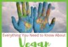 Travel infographic – Travel Vegan Q&A: Everything You Need to Know