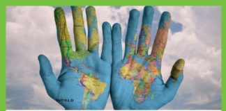 Travel infographic – Travel Vegan Q&A: Everything You Need to Know