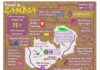 Travel infographic – Travel in Zambia infographic – from T2Ts Travel In… series of infographics fea…