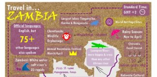 Travel infographic – Travel in Zambia infographic – from T2Ts Travel In… series of infographics fea…