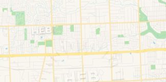 Travel infographic – Travel infographic – Empty vector map of Livonia, Michigan, USA