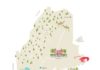 Travel infographic – Travel infographic – Illustrated map of Maine
