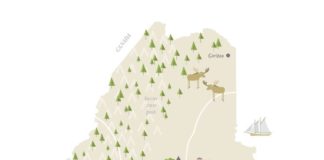 Travel infographic – Travel infographic – Illustrated map of Maine