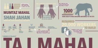 Travel infographic – Travel infographic – Infographic Travel Poster