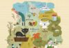 Travel infographic – Travel infographic – Travel illustration by Martin Haake