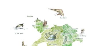 Travel infographic – Travel infographic – Wild Wales: Illustrated Map Benjamin Mounsey