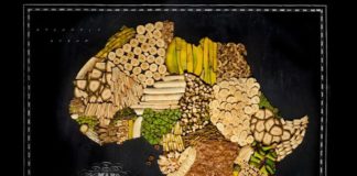 Travel infographic – Travel map made of Food