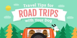 Travel infographic – Traveling with Dogs and Puppies: A Guide to Dog-Friendly Vacations