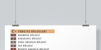 Travel infographic – Turkey art print map art Turkish travel poster Mediterranean map of turkey digital download