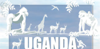 Travel infographic – Uganda Travel Tips Advice Information Habari Uganda Tours – This Uganda Travel I…