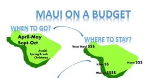 Travel infographic – Us Budget Infographic 29 – infographicality….