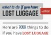 Travel infographic – What To Do If You Have Lost Luggage