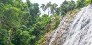 Travel infographic – What to do in Koh Samui, plus top travel tips