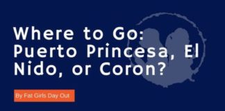 Travel infographic – Where you need to go in Palawan, Philippines: Puerto Princesa, El Nido, or Coron…