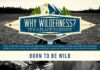 Travel infographic – Why does wilderness matter? Infographic
